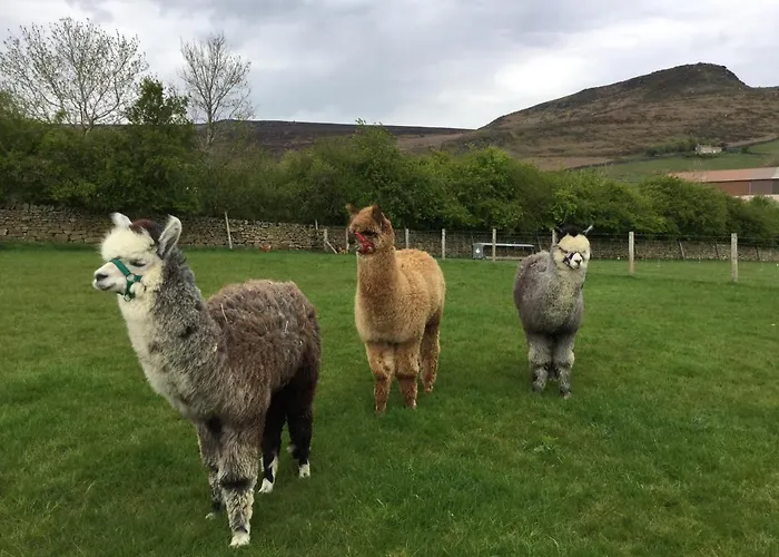 Crown Farm