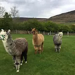 Crown Farm