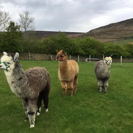 Crown Farm